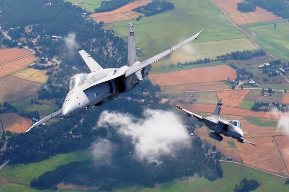 Hornet and Gripen