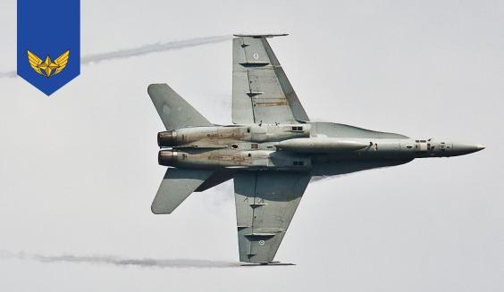 Hornet ilmassa vaakalennossa