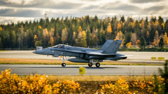 F/A-18 Hornet.