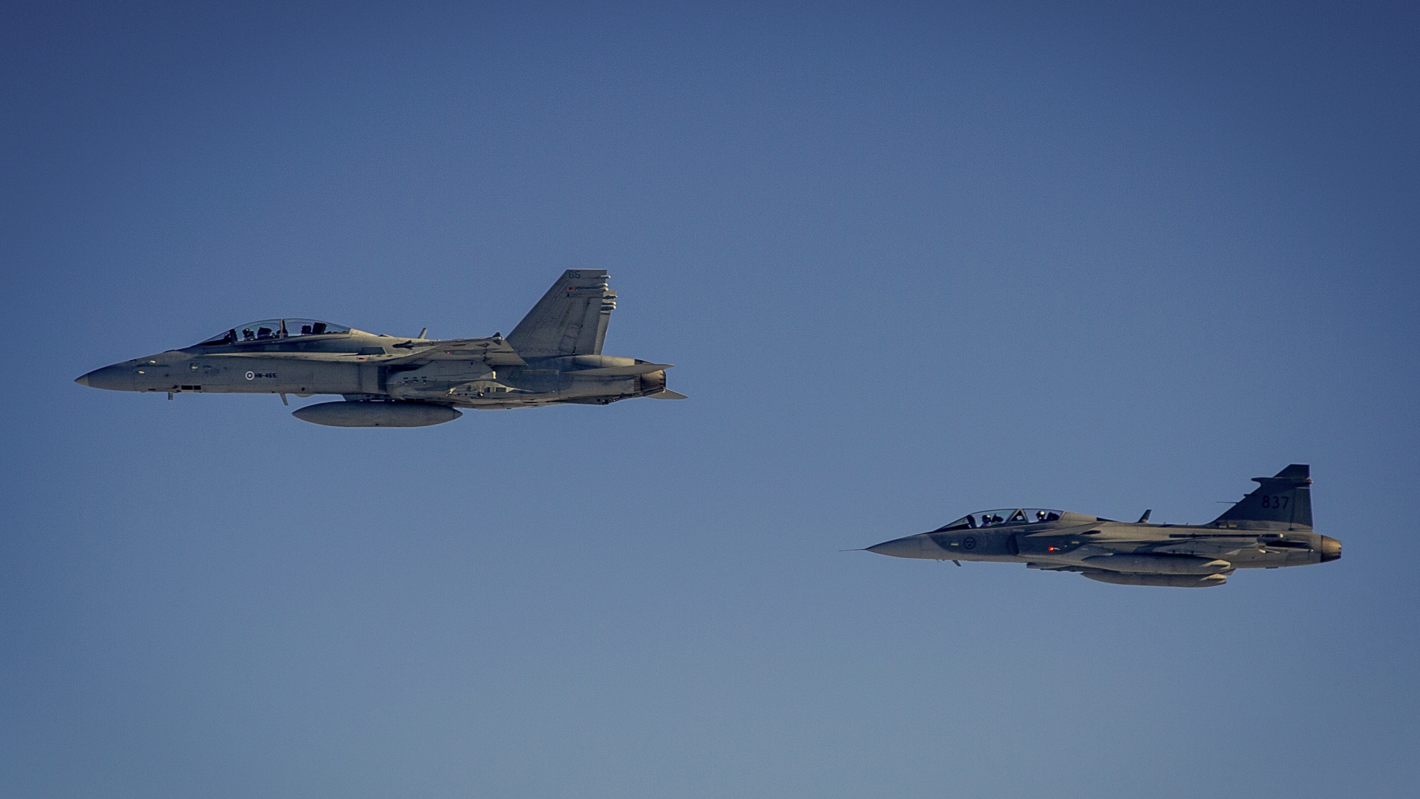 F/A-18 Hornet and JAS 38 Gripen